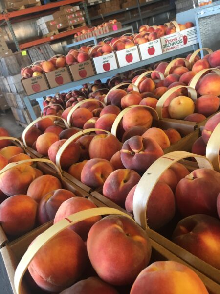 Fresh peaches packed in cardboard boxes at a fruit market, showcasing vibrant colors and organized displays for customers.