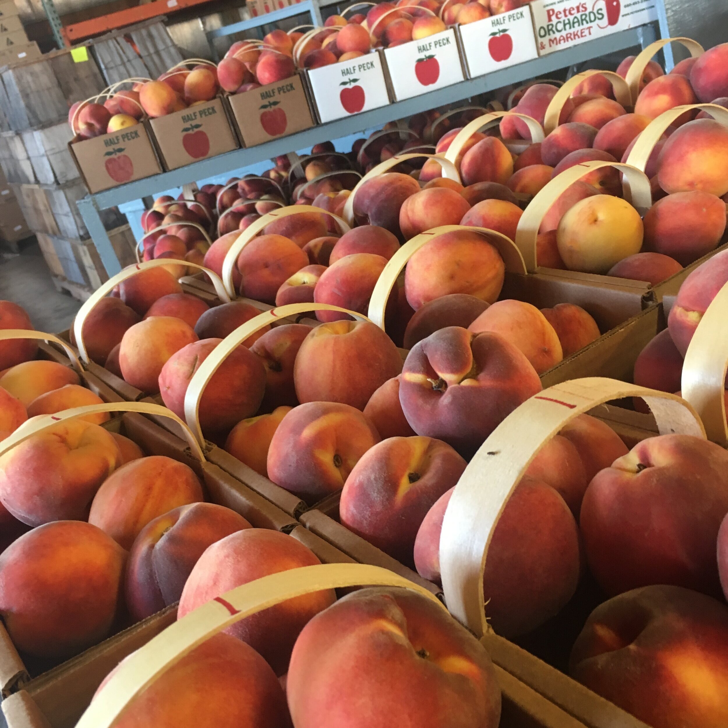 Fresh peaches stacked in wooden crates with handles, displayed in a market setting, showcasing vibrant colors and ready for sale.